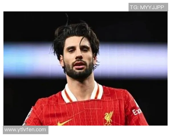 探秘索博斯洛伊的历史与文化遗产，感受其独特魅力与现代发展之路